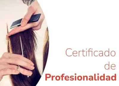 Certificado de profesionalidad en peluquería en Reus